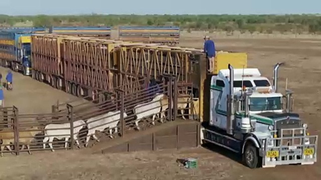 Workers describe life at historically significant cattle station in Northern Territory