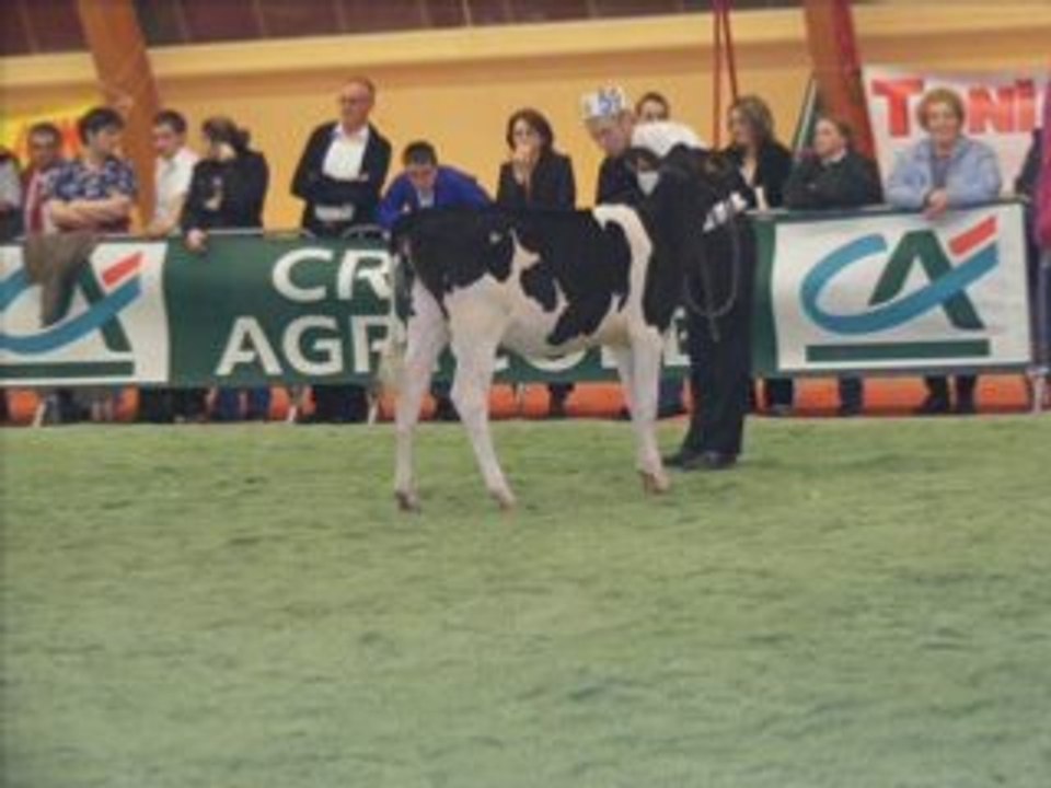 Vidéo Châtenois 2008