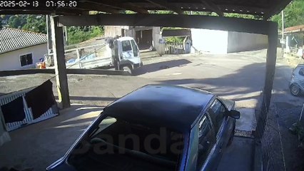 Caminhão de lixo atropela cachorro em Almirante Tamandaré