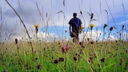 Walking Through History - Stonehenge