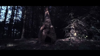 Defender of the magical world ｜ English Fantasy Movies