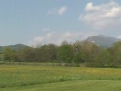 NOUVEAU Align Trex 700 helico rc vol 3D de fou !