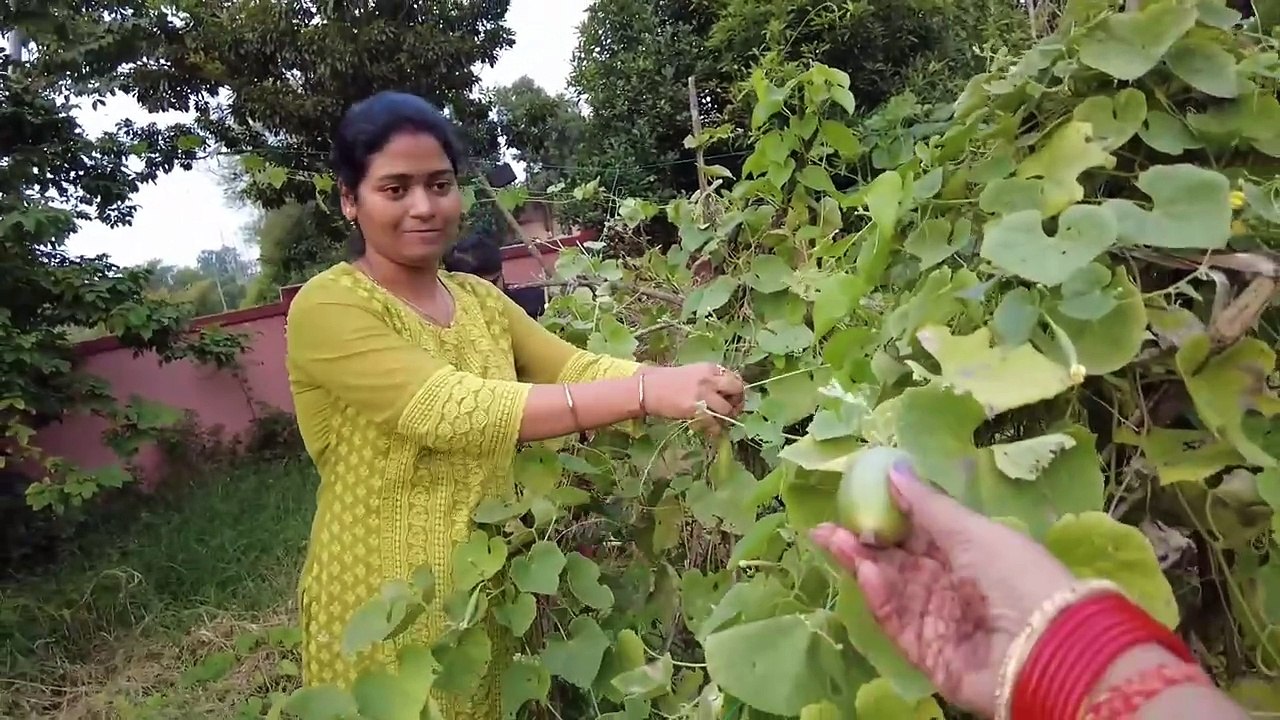 ଗୋଟା ବାଇଗଣ ପୂର ଦିଆ ମସଲା ତରକାରୀ 😋😋 @odishavloggerrisma7731