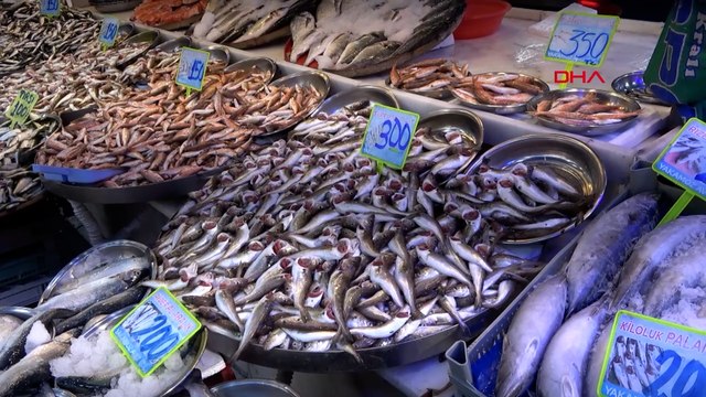 Karadeniz ısındı, hamsi ve palamut azaldı