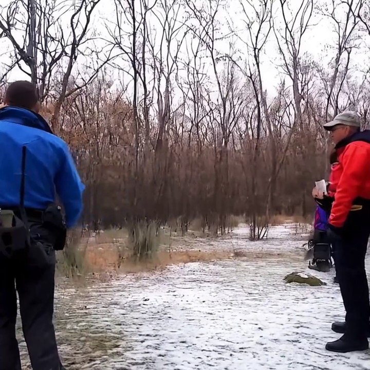 Trapped wolf rescued | The Funniest Animal Videos 2025 | Funny Dogs and Cats are here to Break your HEART | Funny Animal Moments | Fun Time | help | wolf | Family Fun | Entertainment Time | Daily