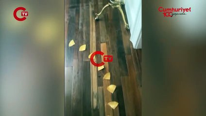 Selena Gomez'e 'küvet dolusu peynir' hediye etti!