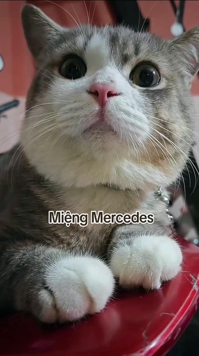 🙂😬