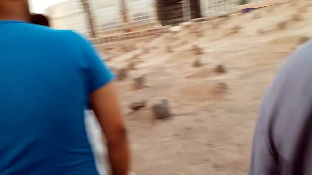 aa0675b8-5108-4663-87a6-cf09905f9726-1_all_83