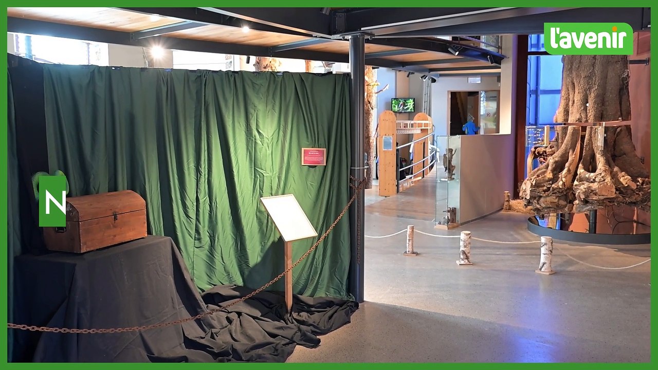 "Féeries de notre région", la nouvelle exposition au musée du domaine de Berinzenne à Spa