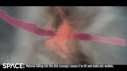 Watch The Evolution Of A Jet Formed By A Collapsar