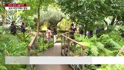 실내 식물원에도 동해 바닷가에도 나들이객 '북적' / YTN