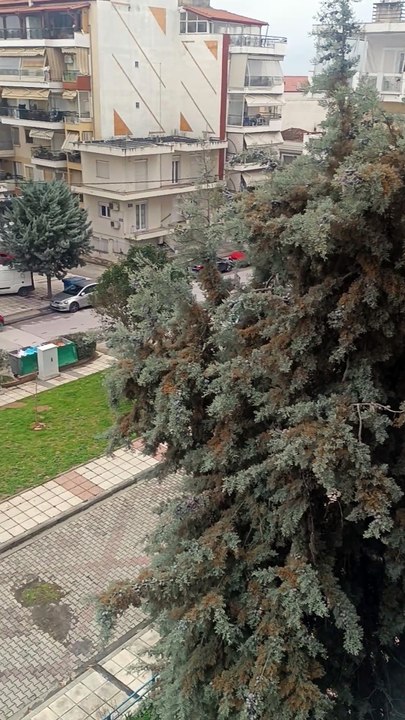 Ψησταριά υγραερίου για τέλειο ψήσιμο