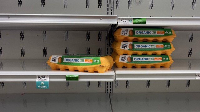 Les œufs deviennent un produit de luxe aux États-Unis