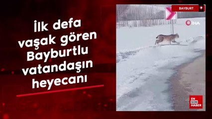 İlk defa vaşak gören Bayburtlu vatandaşın heyecanı