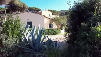 Elba, Viticcio in ginocchio dopo il nubifragio: crollata la strada che porta alla spiaggia