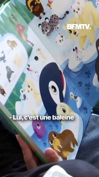 Une cagnotte pour Abel et Eden, deux frères atteints du syndrome de Sanfilippo, récolte plus d'un million d'euros pour financer leurs soins