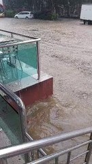 雪州多区遭遇突发水灾和树倒事件，4车受损无人员伤亡🚗💧