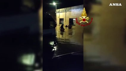 Nubifragio sull'Elba, soccorse dai vigili del fuoco decine di persone