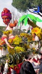 Les sublimes images de la fête du mimosa à Mandelieu