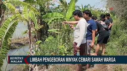 Limbah Pengeboran Minyak Cemari Sawah Warga di Bojonegoro Jatim