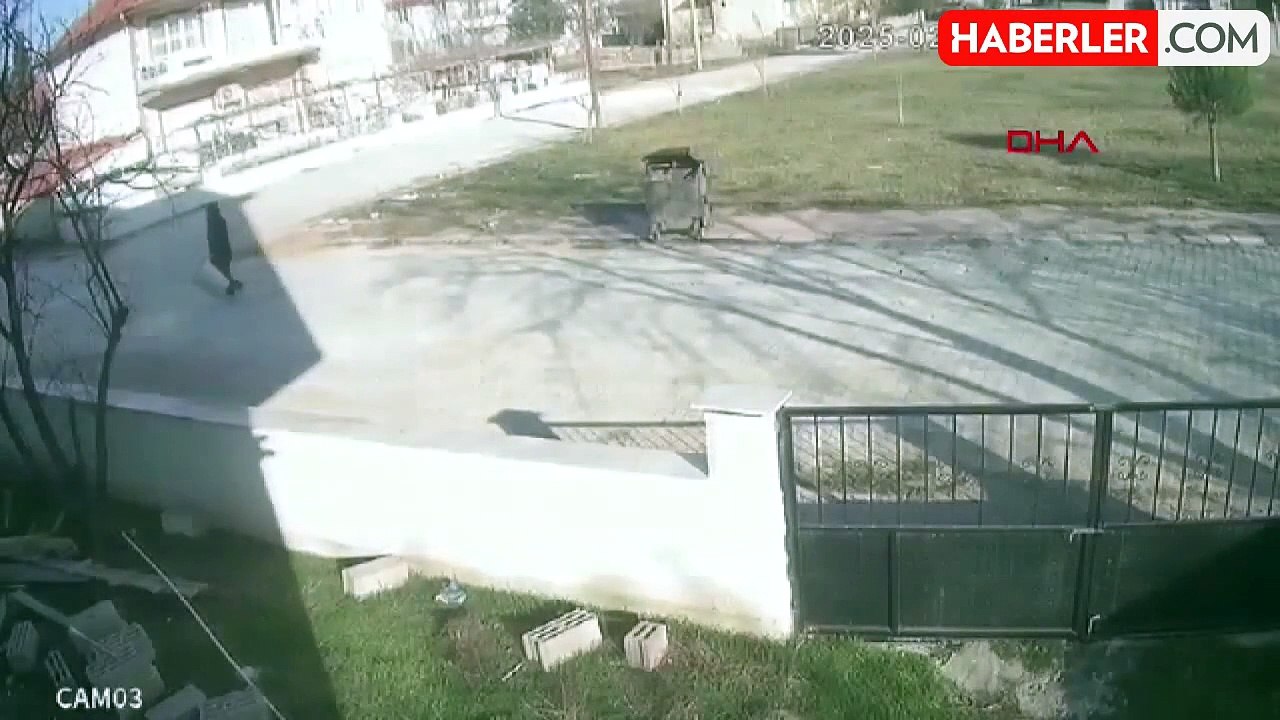 Köpek Çöp Konteynerinde Bulundu, Sahibi Suç Duyurusunda Bulundu