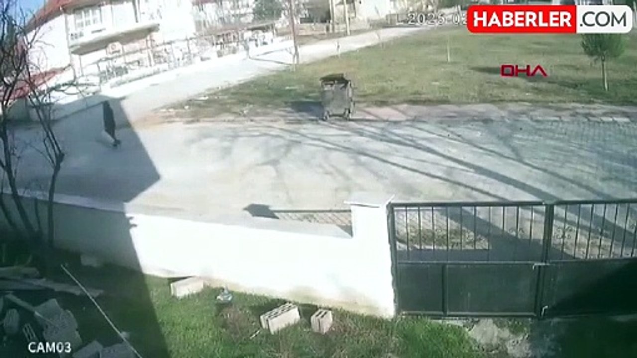 Köpek Çöp Konteynerinde Bulundu, Sahibi Suç Duyurusunda Bulundu