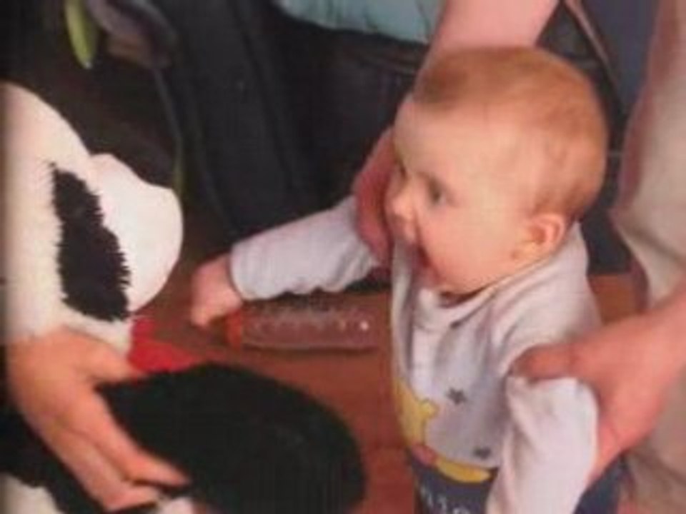 Binou qui voit doudou