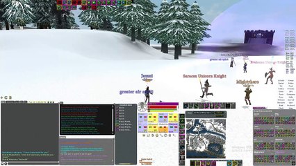 Dark Age of Camelot 2025.02.16 - 10분간싸움(1)