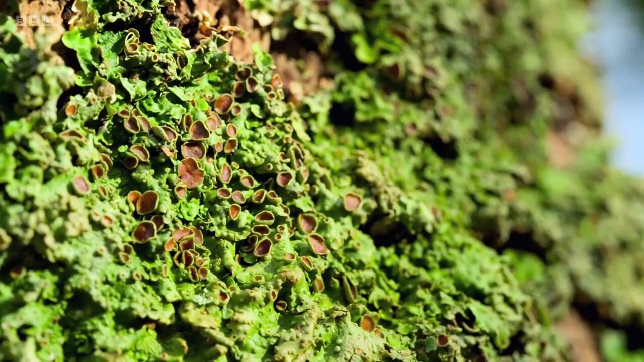 Countryfile - Sound of Mull