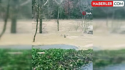 ABD'de fırtına can aldı: 9 ölü