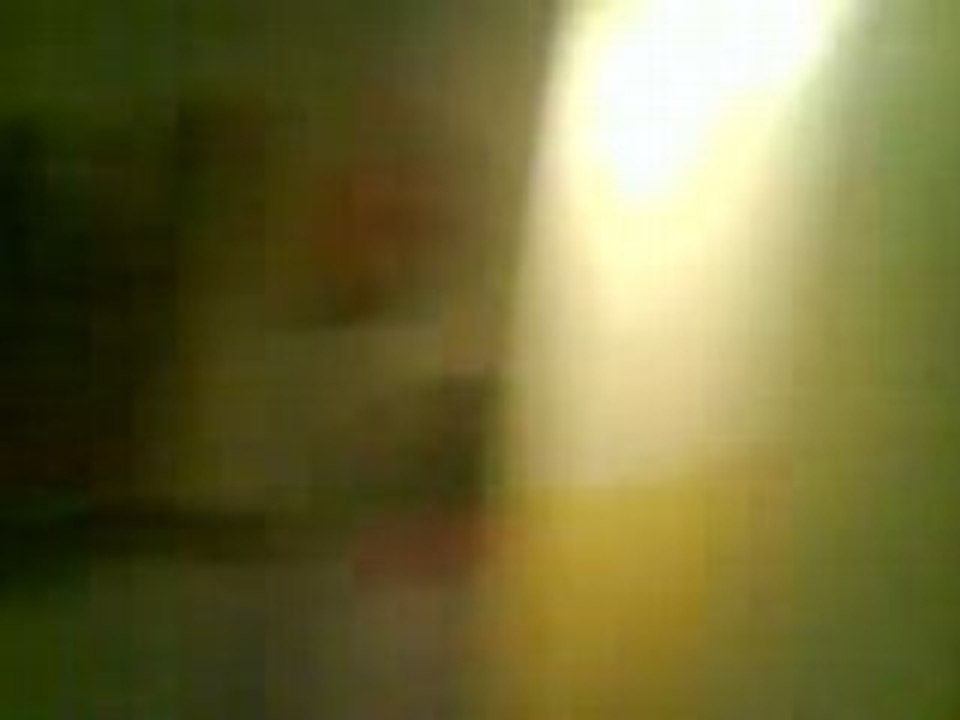 dali dali tros forts