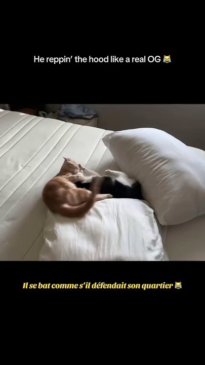 Voici ma nouvelle vidéo
