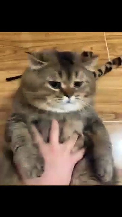 🥲🥲