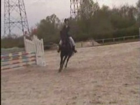 Amandine & Noisette 20/04/08 CL2 Ozoir