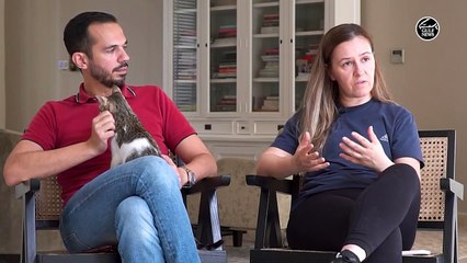 UAE: Dubai expats rescued 1,500 cats - discover their heartwarming story