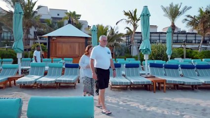 UAE waters witness the release of Zippy and 20 rescued turtles