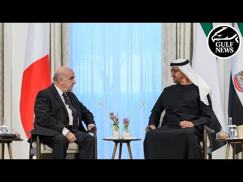 UAE President and Maltese counterpart hold talks on strengthening bilateral ties