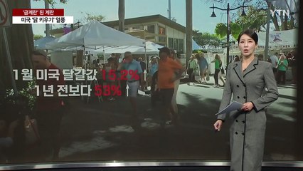 금계란 된 계란 [앵커리포트] / YTN