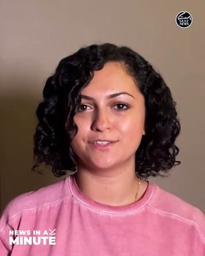 Hit-and-run driver arrested by Sharjah Police, Fire on cargo ship off Dutch coast kills at least 1