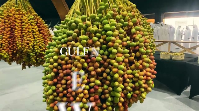 19th Liwa Date Festival begins in Abu Dhabi
