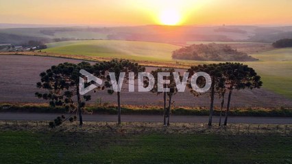 Sunrise and early morning mist on a farm