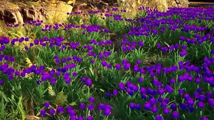 Unusual News from the City Of Sky Episode 05 Eng Sub