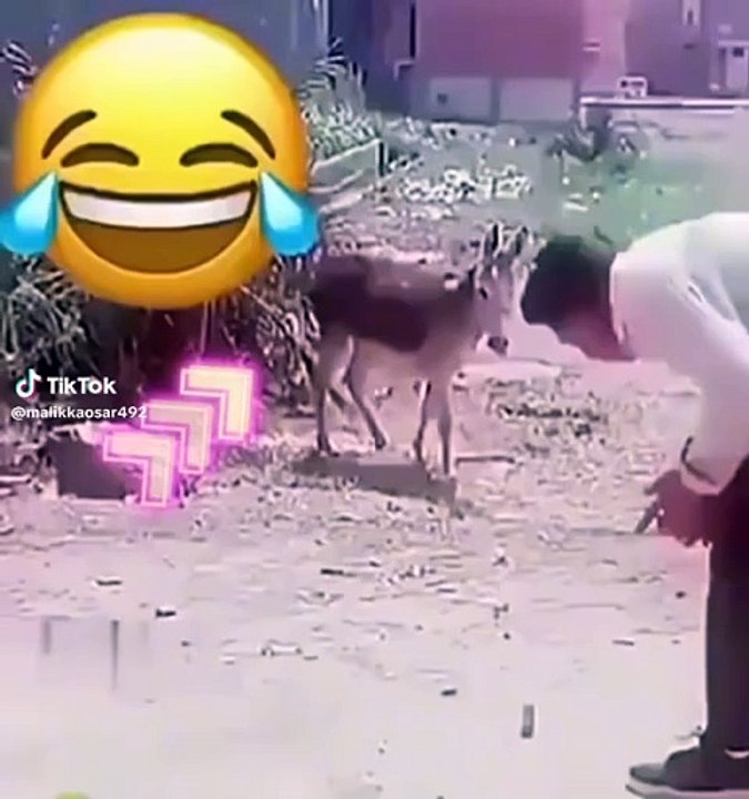 Funny🤣😝😜😜 video