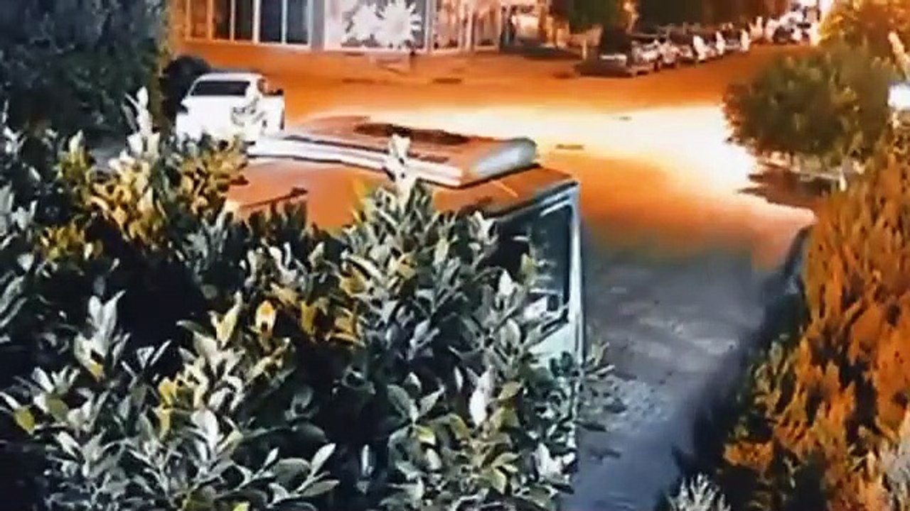 Mersin'de 'Kaplanlar' suç örgütüne büyük darbe