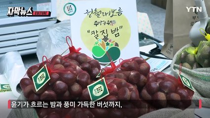 [자막뉴스] 한국 '임산물' 세계로...포부 밝힌 산림청 / YTN