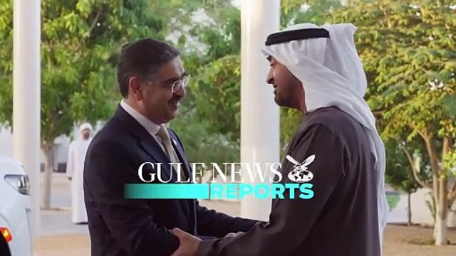 UAE President and Pakistani Prime Minister hold talks on bilateral relations