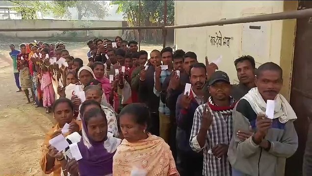 CG Panchayat Chunav 2025: त्रिस्तरीय पंचायत चुनाव के पहले चरण की वोटिंग शुरू, सुबह से ही ग्रामीणों में दिखा उत्साह, देखें Video