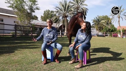 How horses are helping heal trauma and stress, Dubai