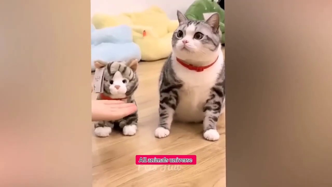 Best funny animal videos 2025 😂_cat & dogs cute videos_#cats _#dogs _#petlover _All animals universe