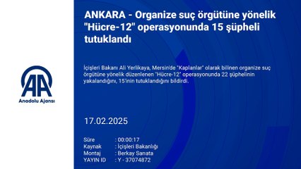 Çetelere bir operasyon daha! Güne güzel haberle uyandık